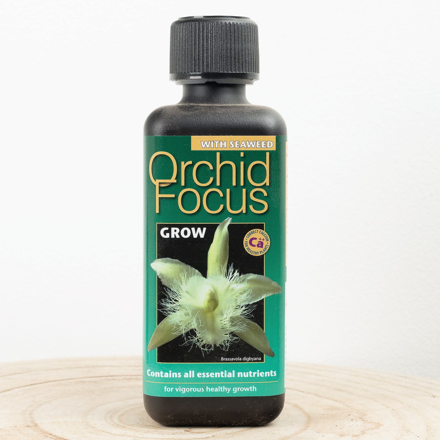 Orchid Focus | Grow