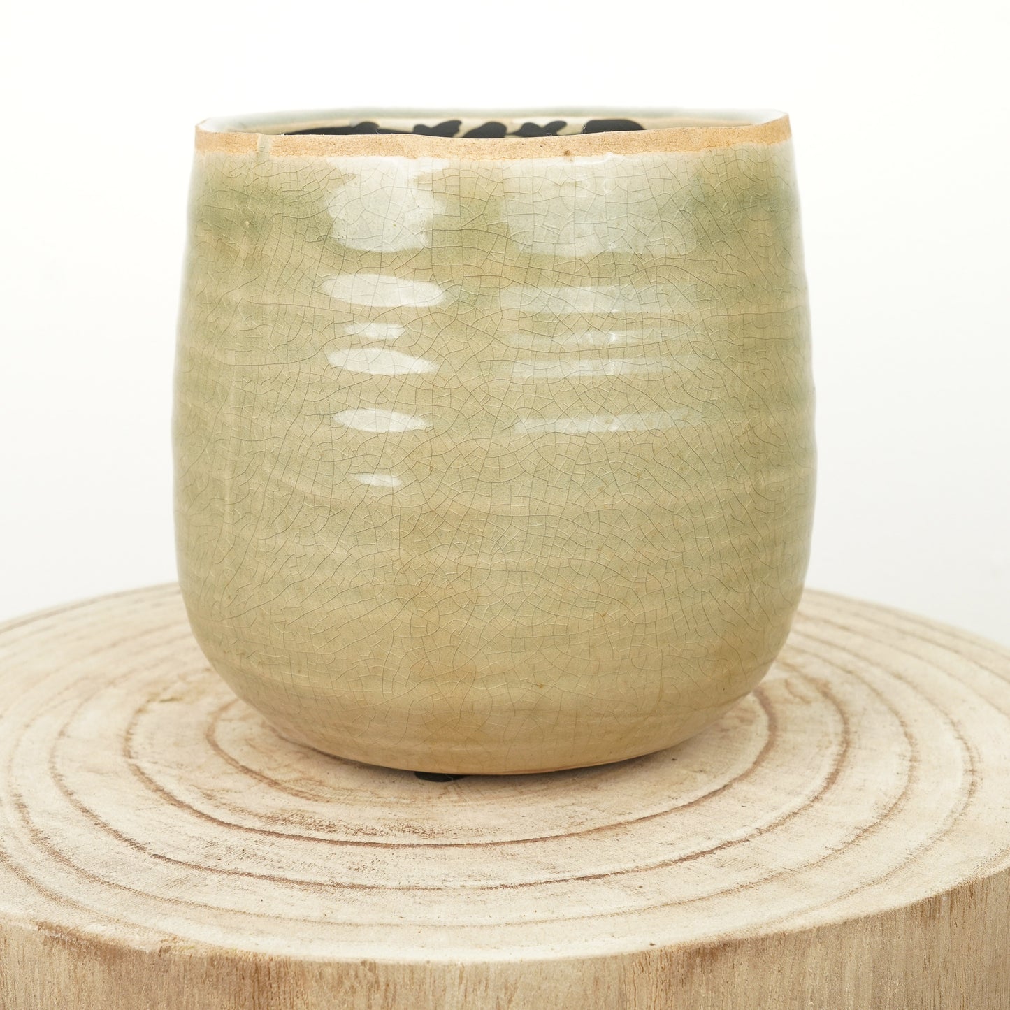 Como Pot | Mint