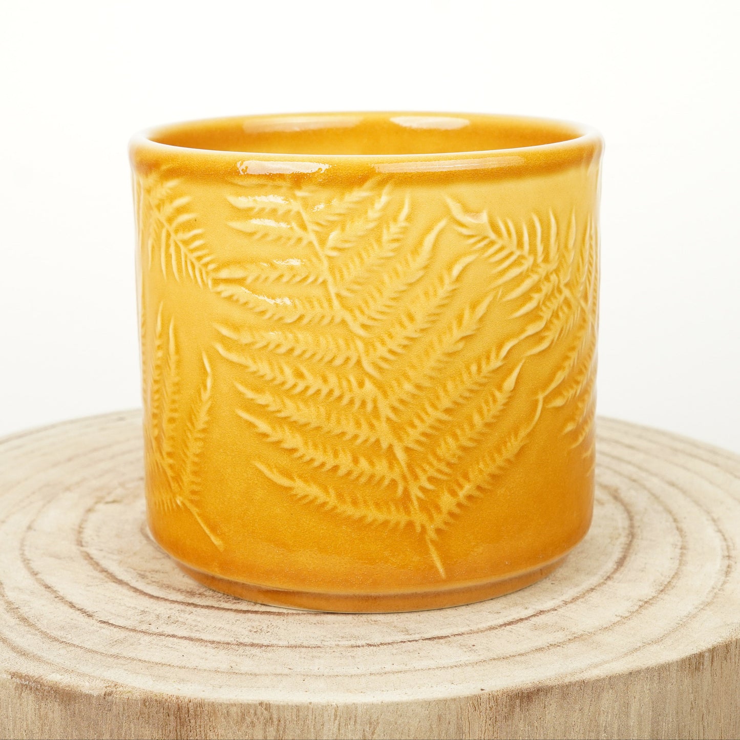 Orla Fern Pot | Mustard