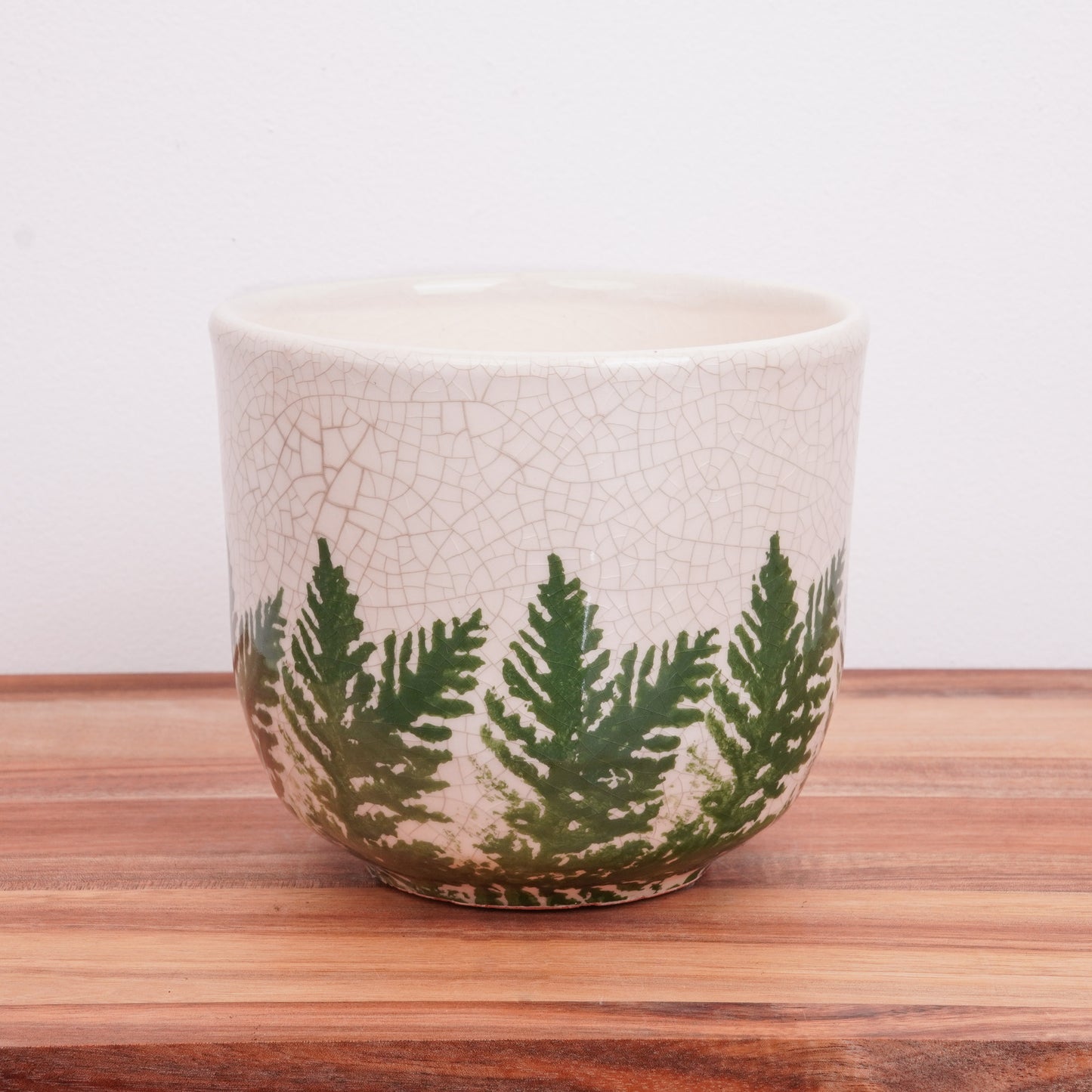 White Fern Ceramic Plant Pot Delivery UK