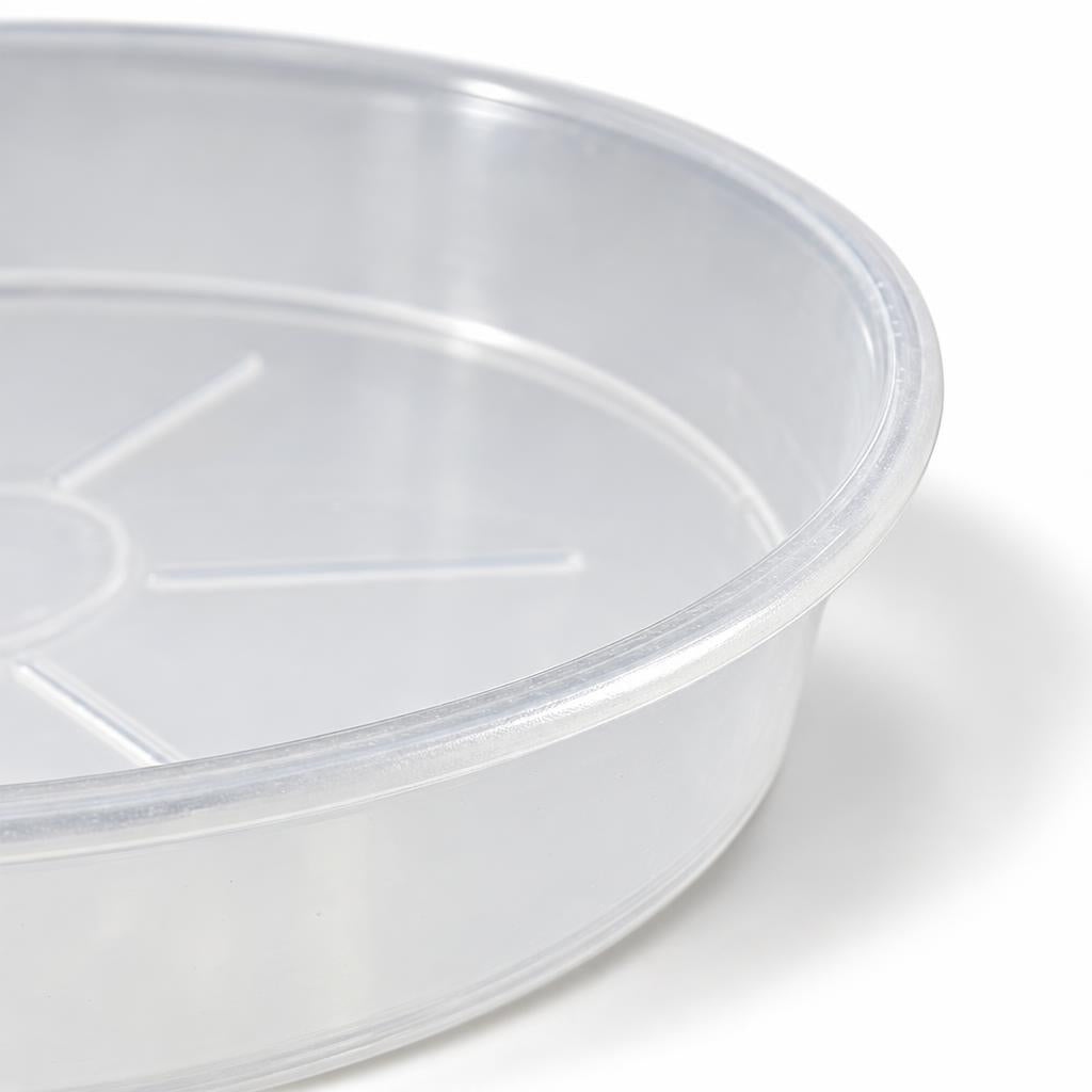 Orchid Saucer Pot | Transparent | Decorative Orchid Plant Pot