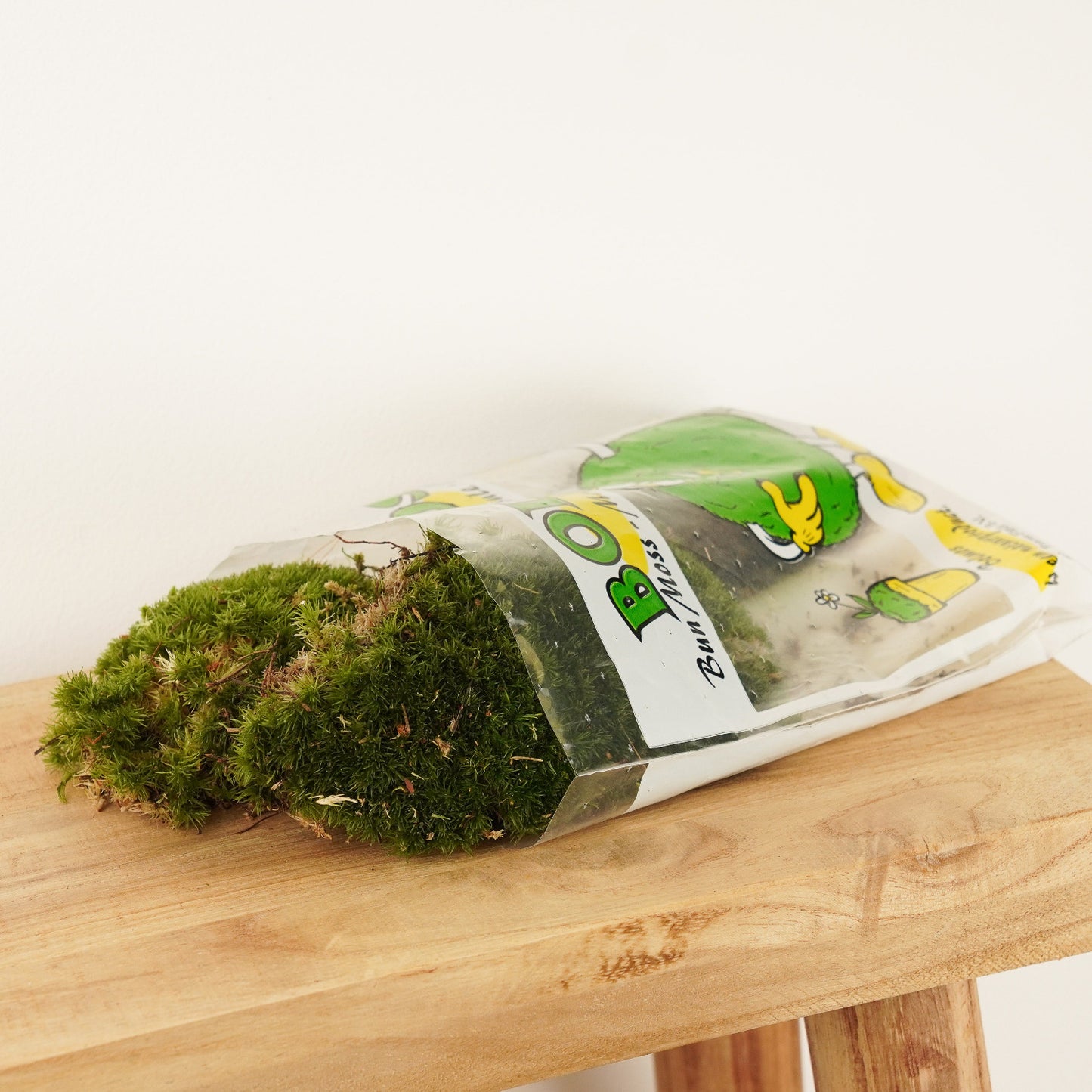 Moss | Bun Moss
