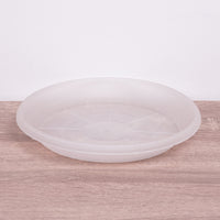 Orchid Saucer | Transparent - 