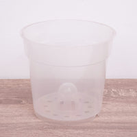 Orchid Pot | Transparent - 