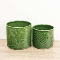 Orla Fern Pot | Green - 