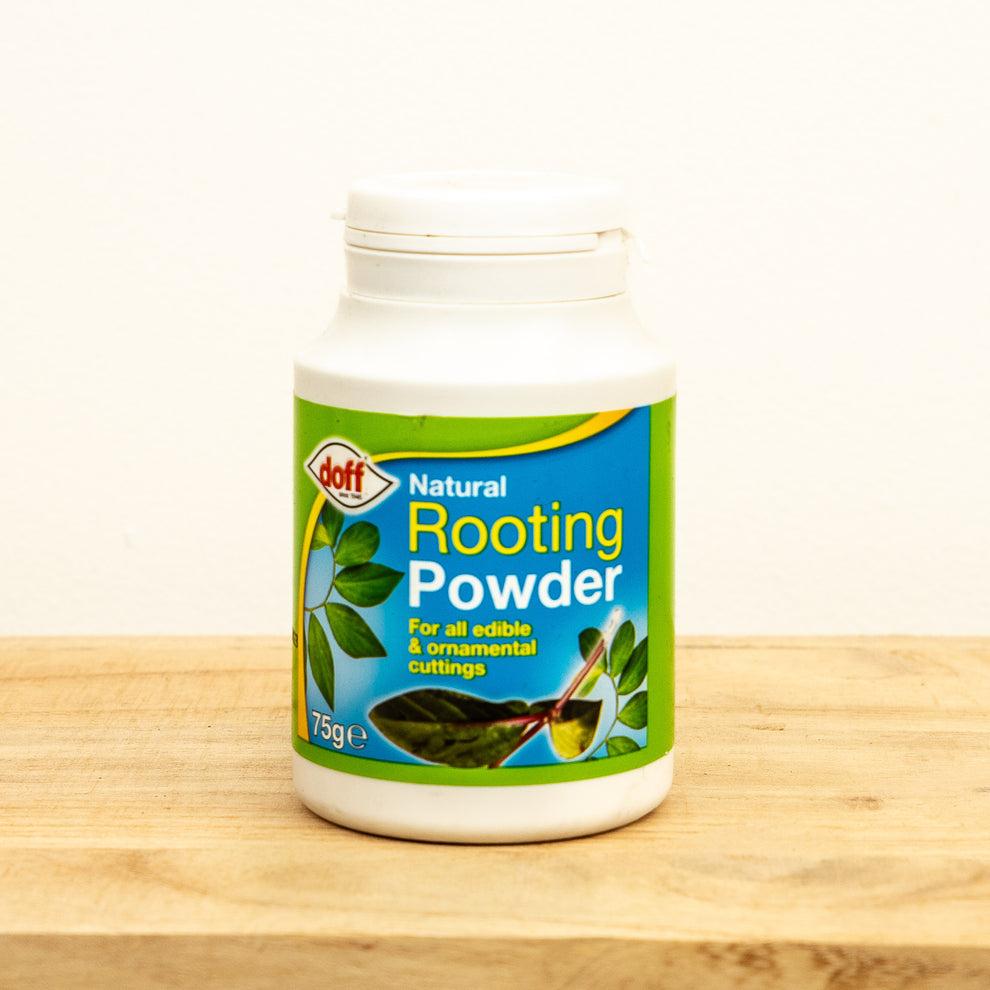 Doff Natural Rooting Hormone Powder | Orchid Feed, Mix & Repotting Kit ...