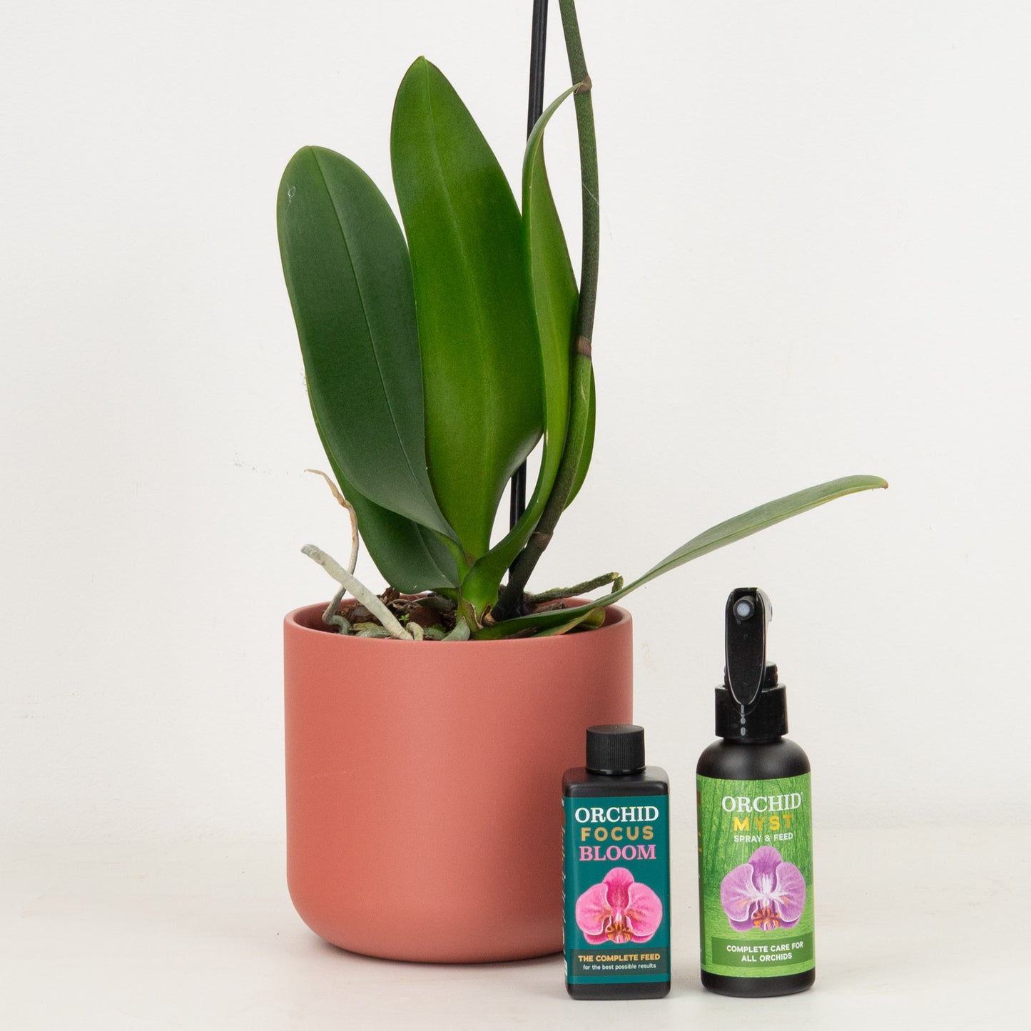 Pink Orchid Gift Set