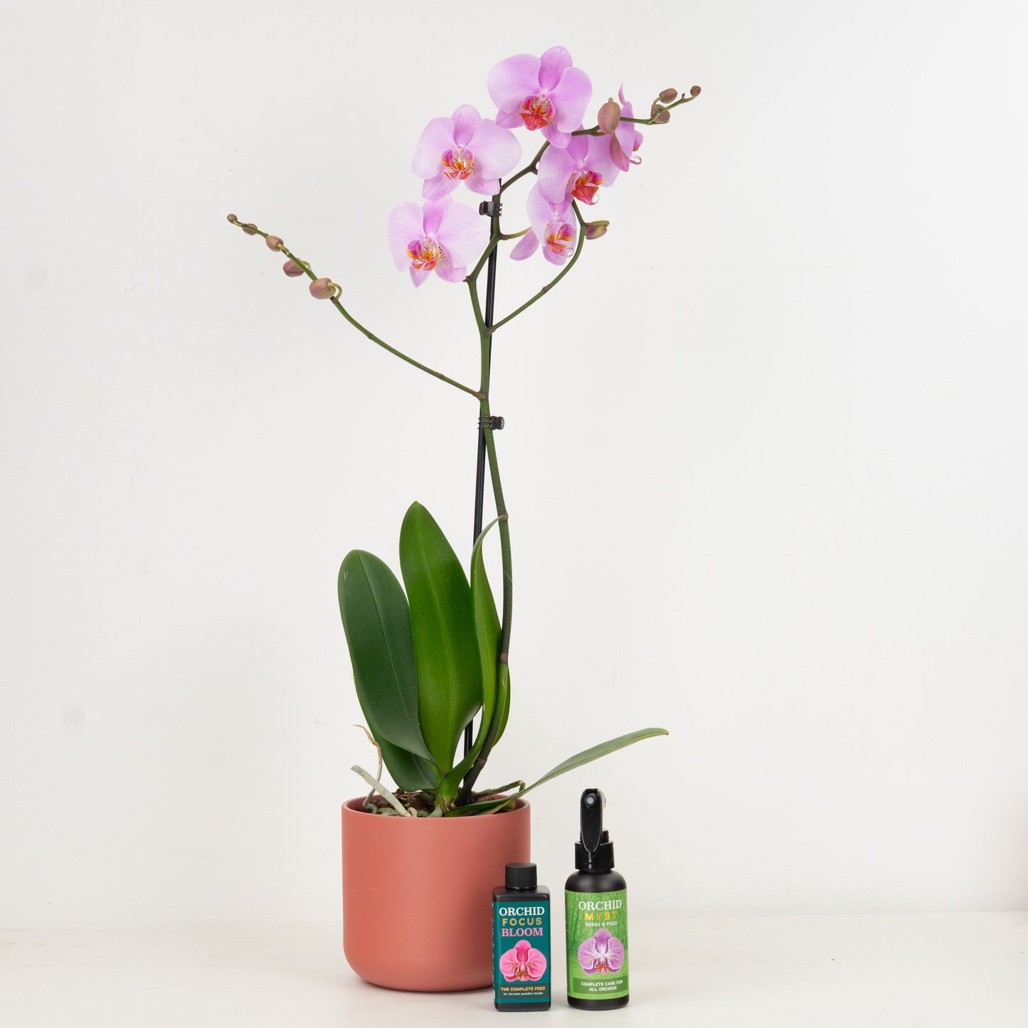 Pink Orchid Gift Set