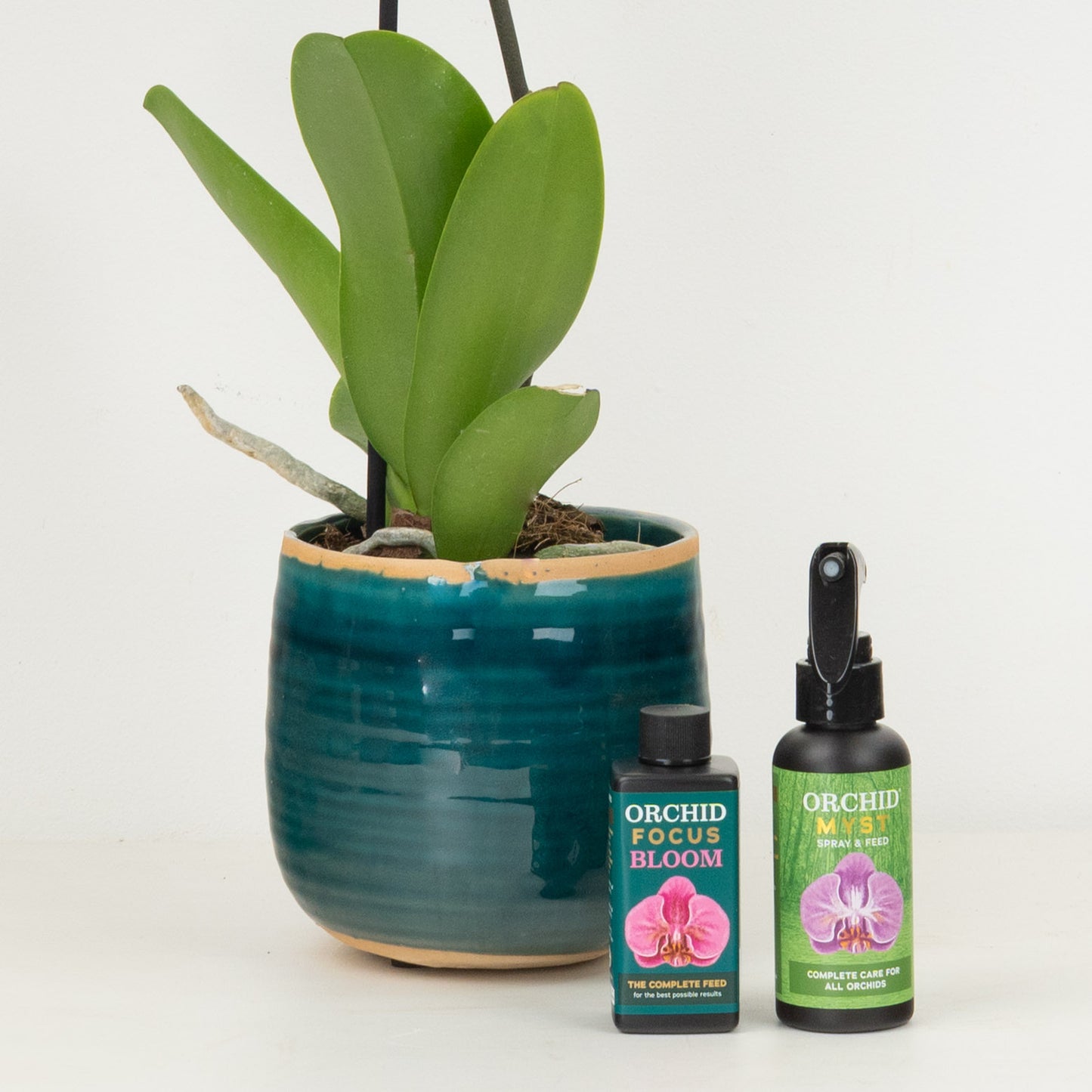 White Orchid Gift Set