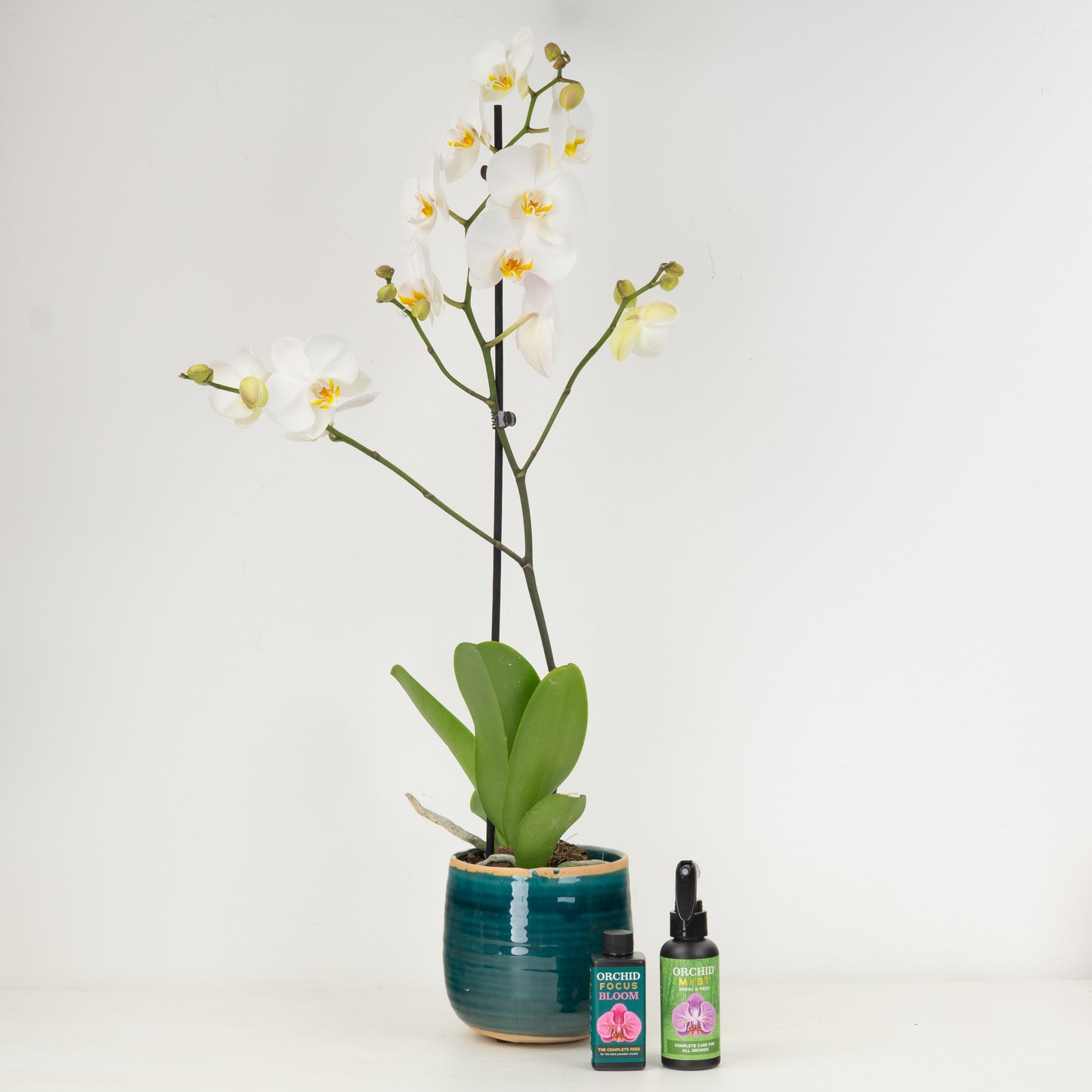 White Orchid Gift Set
