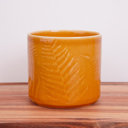 Mustard Fern Orchid Ceramic Plant Pot Delivery UK