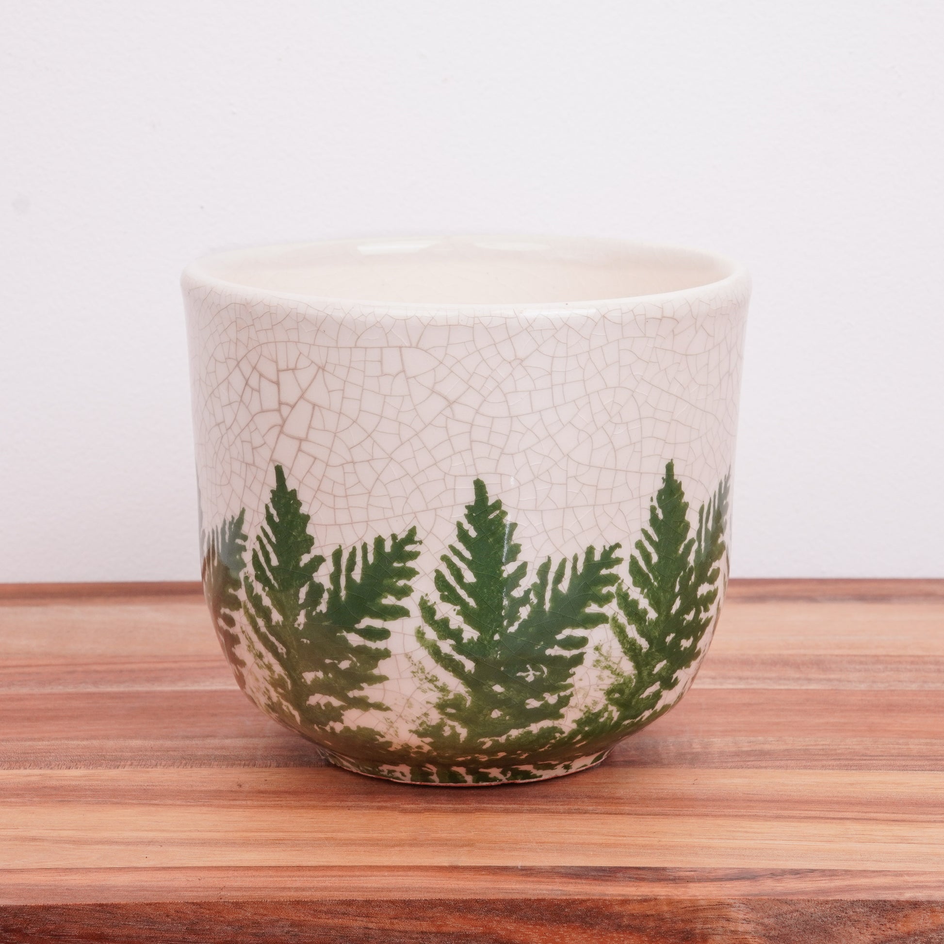 White Fern Ceramic Plant Pot Delivery UK
