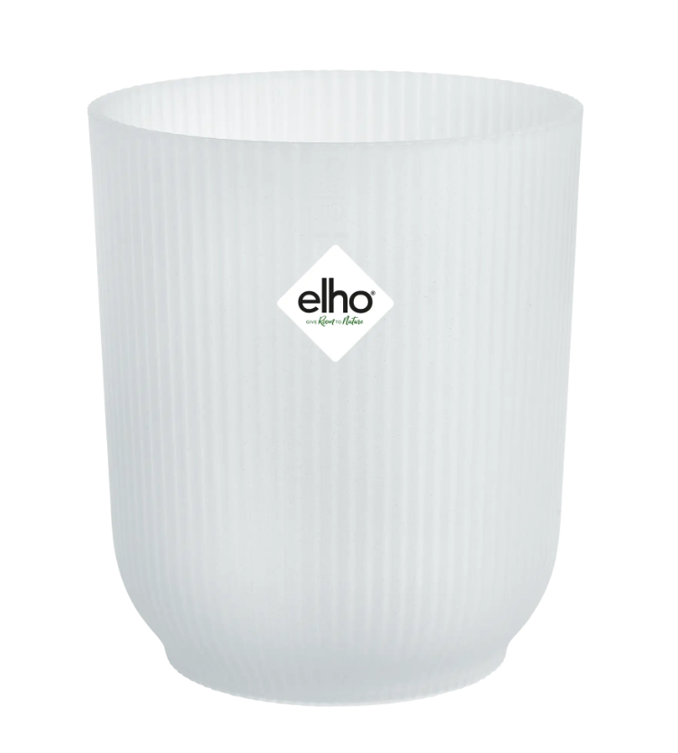 Vibes Fold | Transparent | Decorative Orchid Plant Pot
