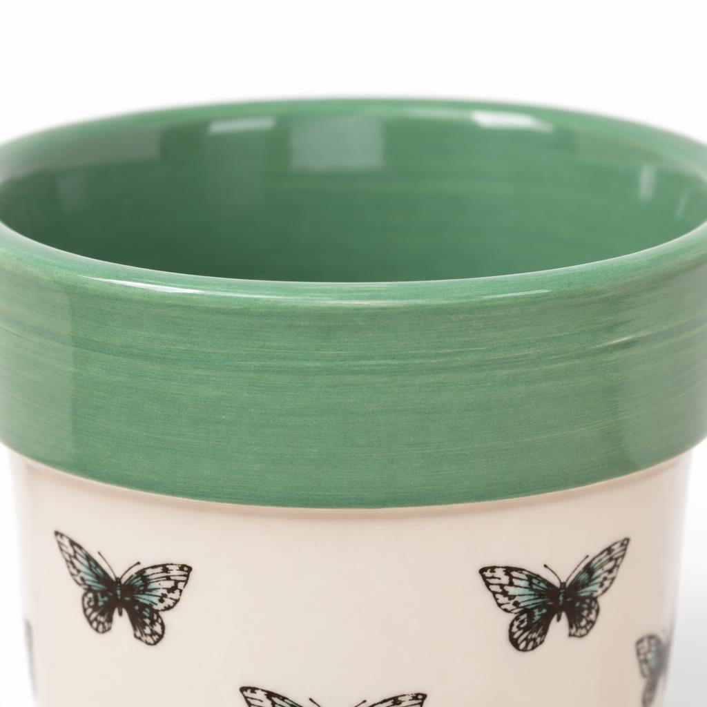 Butterfly decorative pot with a soft white background